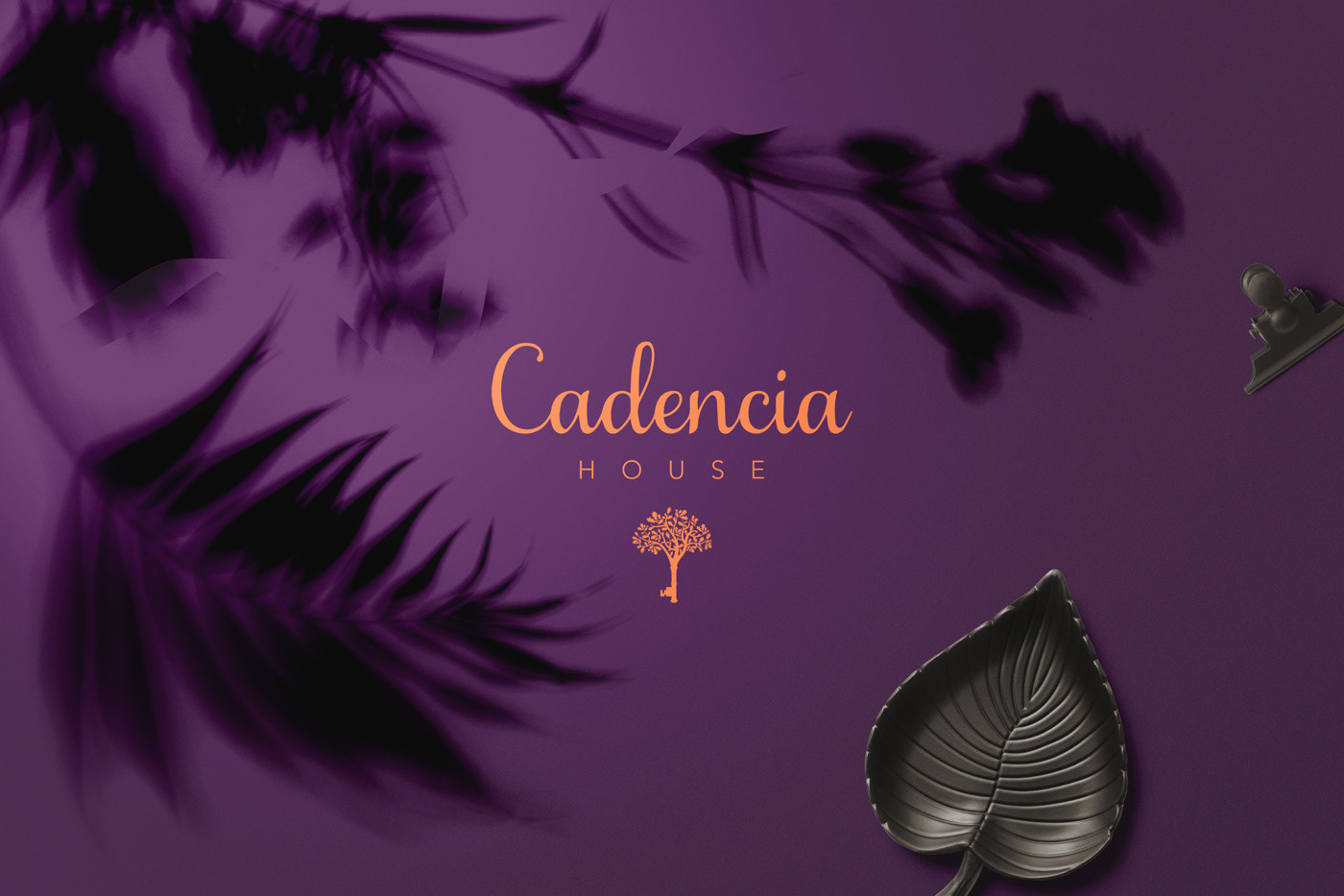 Cadencia時(shí)尚服裝品牌設(shè)計(jì)案例和品牌營(yíng)銷，服裝品牌形象設(shè)計(jì)，品牌營(yíng)銷，深圳品牌設(shè)計(jì)，左右格局
