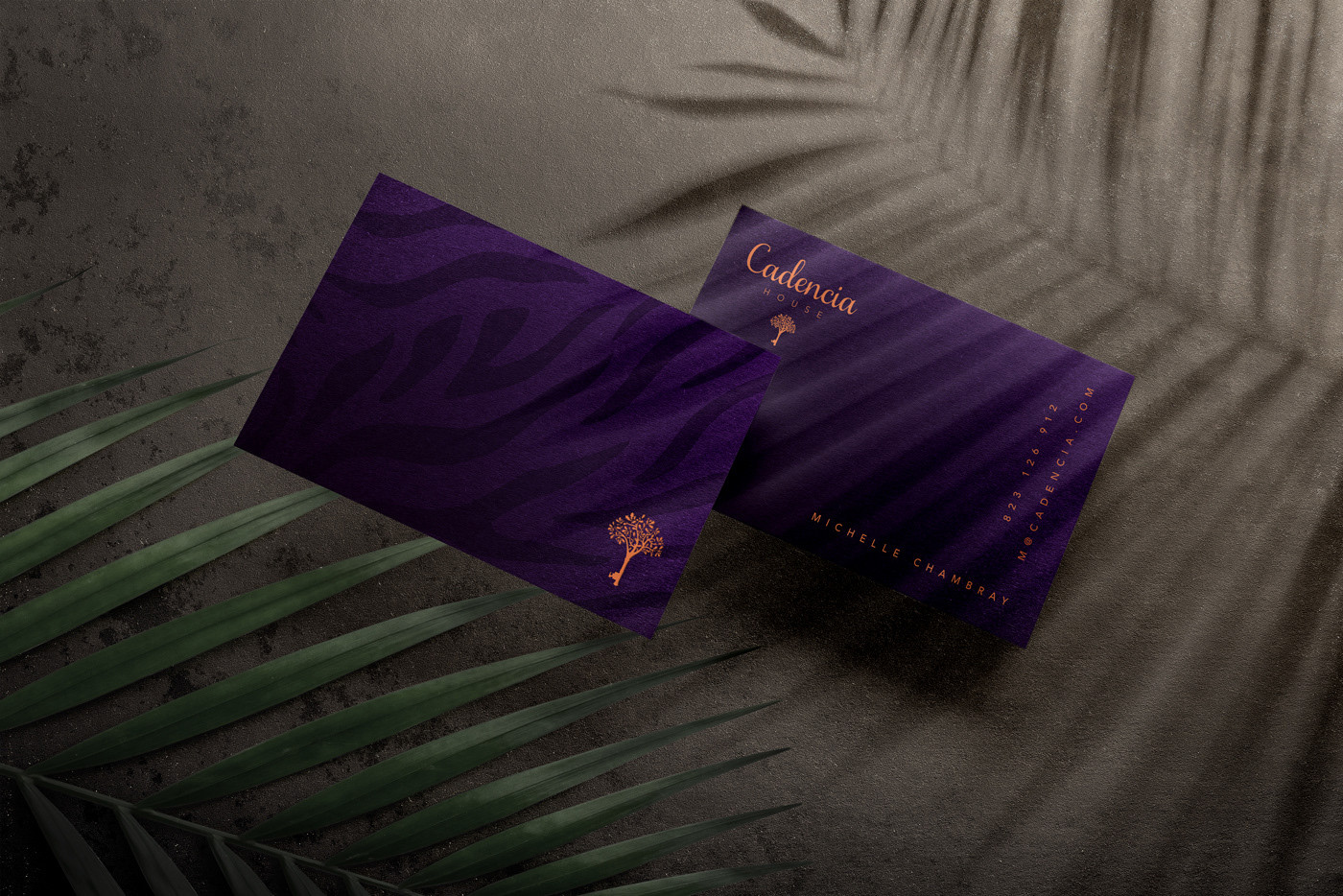 Cadencia時(shí)尚服裝品牌設(shè)計(jì)案例和品牌營(yíng)銷，服裝品牌形象設(shè)計(jì)，品牌營(yíng)銷，深圳品牌設(shè)計(jì)，左右格局