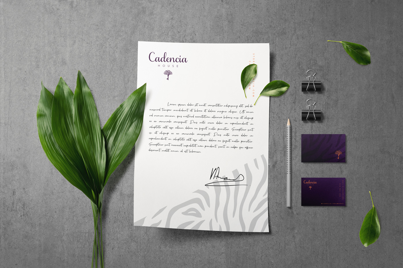 Cadencia時(shí)尚服裝品牌設(shè)計(jì)案例和品牌營(yíng)銷，服裝品牌形象設(shè)計(jì)，品牌營(yíng)銷，深圳品牌設(shè)計(jì)，左右格局