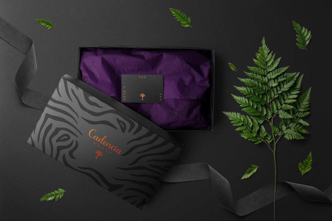 Cadencia時(shí)尚服裝品牌設(shè)計(jì)案例和品牌營(yíng)銷，服裝品牌形象設(shè)計(jì)，品牌營(yíng)銷，深圳品牌設(shè)計(jì)，左右格局