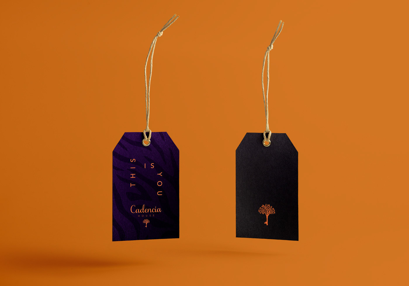 Cadencia時(shí)尚服裝品牌設(shè)計(jì)案例和品牌營(yíng)銷，服裝品牌形象設(shè)計(jì)，品牌營(yíng)銷，深圳品牌設(shè)計(jì)，左右格局