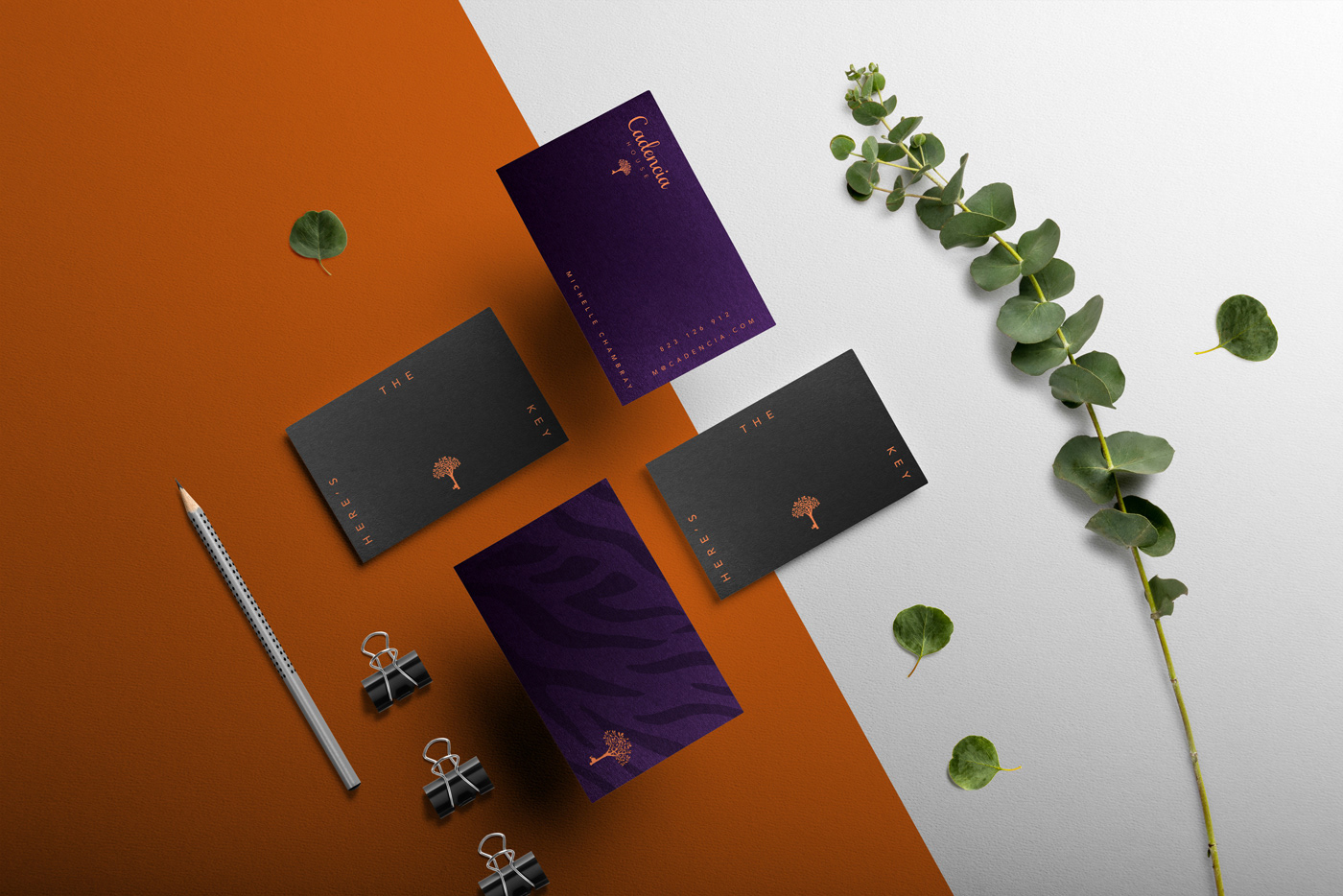 Cadencia時(shí)尚服裝品牌設(shè)計(jì)案例和品牌營(yíng)銷，服裝品牌形象設(shè)計(jì)，品牌營(yíng)銷，深圳品牌設(shè)計(jì)，左右格局